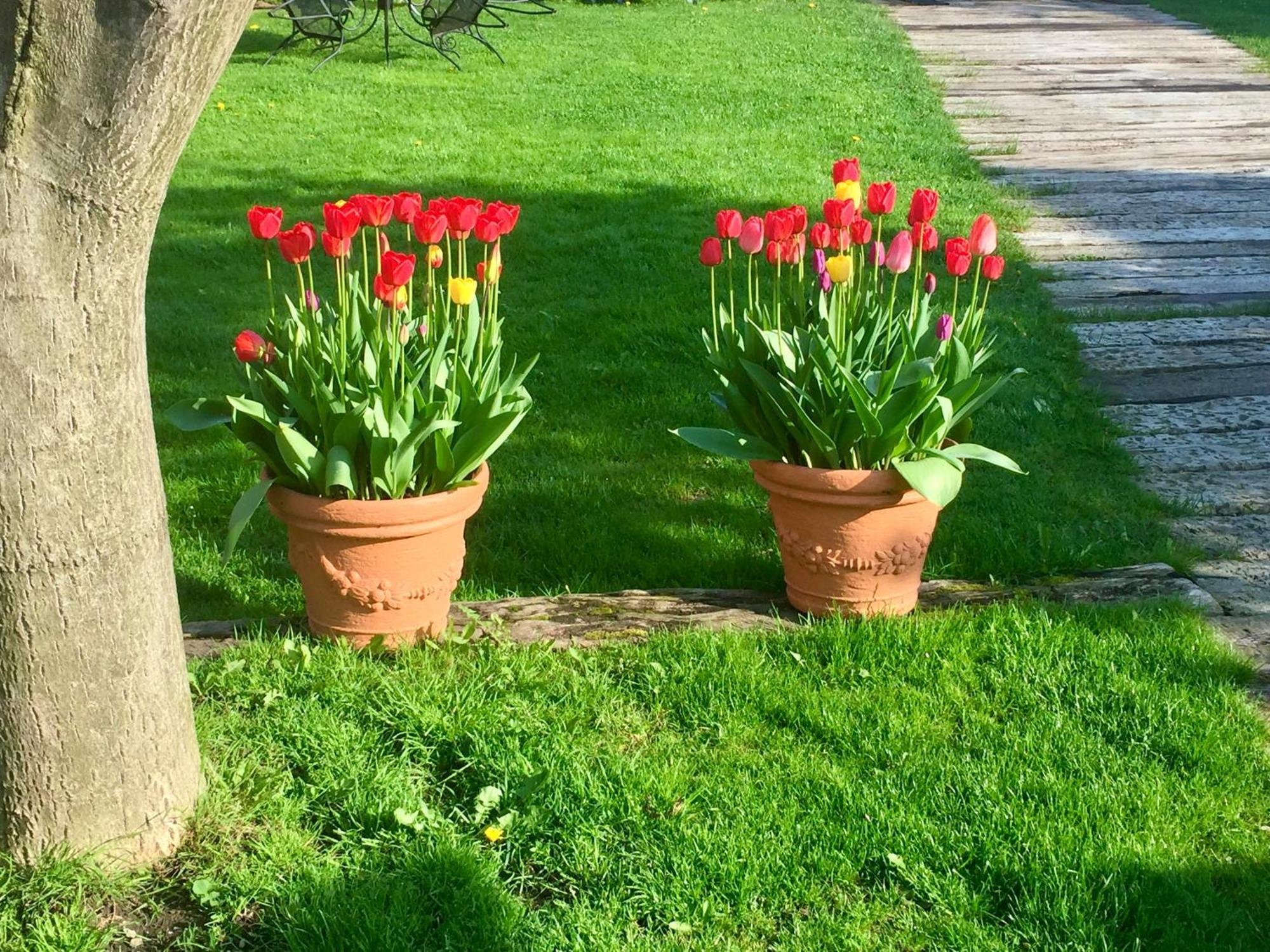 רוז'ומברוק Holiday Resort Svarny מראה חיצוני תמונה